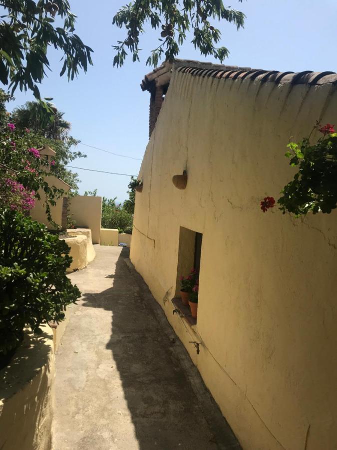 Casa Hector Villa Гранада Екстериор снимка
